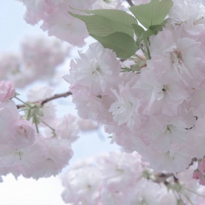 兽设四季场景设计福瑞群